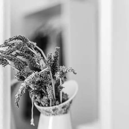 Vakantiehuis Eco Sirma Flaris