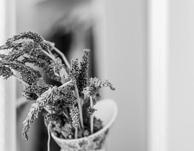 Casa vacanze Eco Sirma Flaris